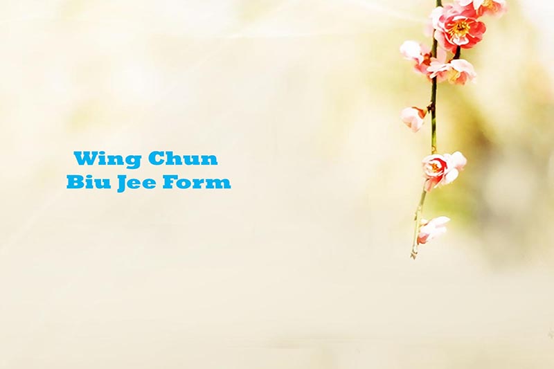 Wing Chun Biu Jee in Mumbai