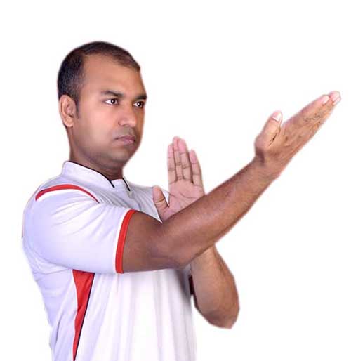 wing chun suresh jaiswar